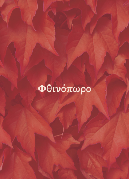 Frame 1171275439 (1)